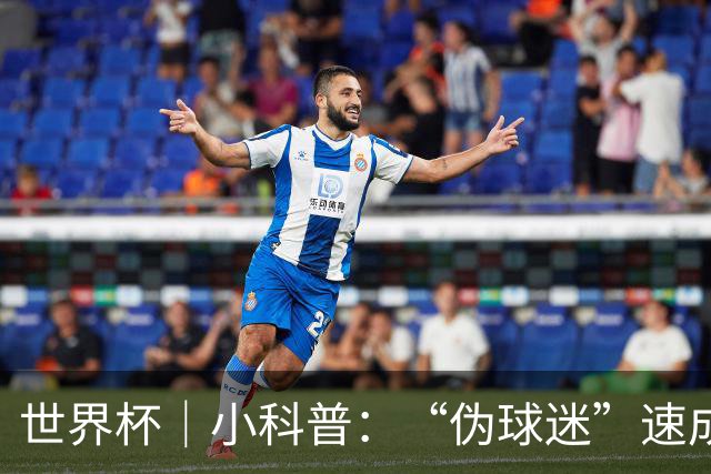 世界杯｜小科普：“伪球迷”速成手册