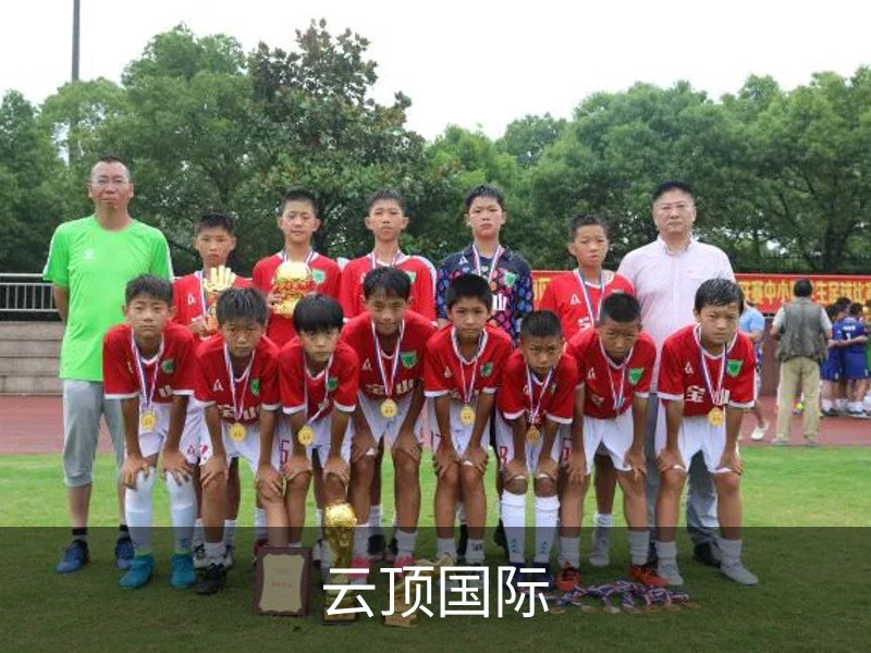 云顶国际概况
